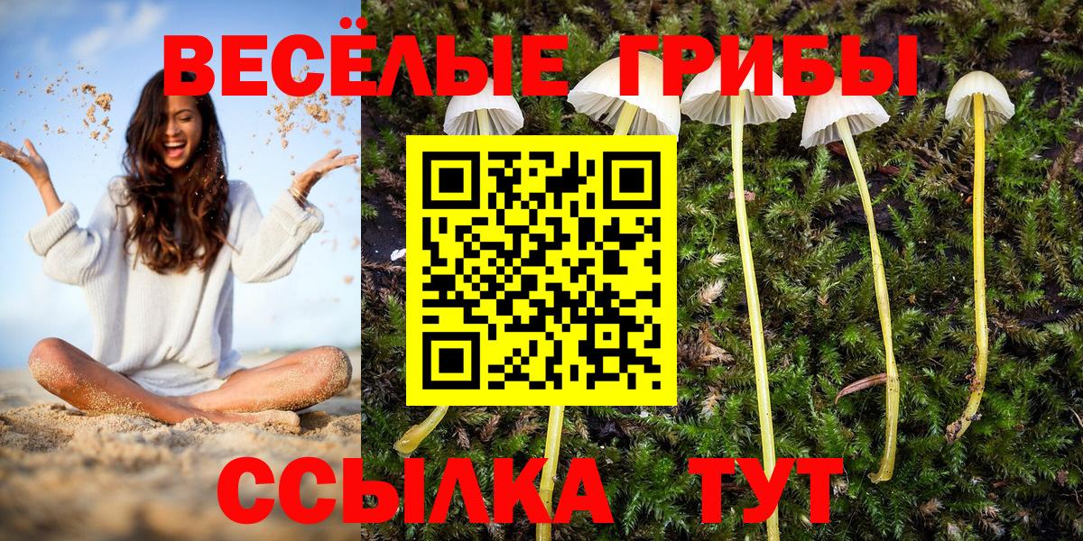магазин продажи наркотиков  Галлюциногенные грибы ЛСД  Вход с VPN  Копейск 
