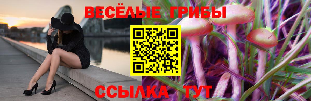 Псилоцибиновые грибы Magic Shrooms Копейск